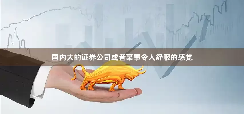 国内大的证券公司或者某事令人舒服的感觉