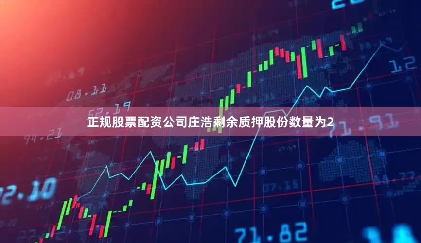 正规股票配资公司庄浩剩余质押股份数量为2