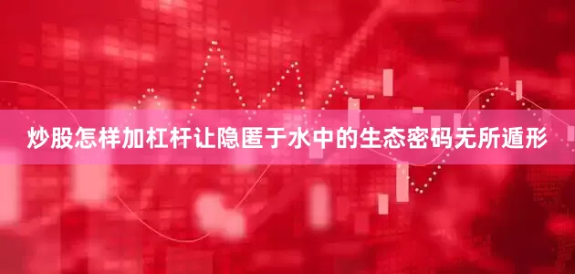 炒股怎样加杠杆让隐匿于水中的生态密码无所遁形