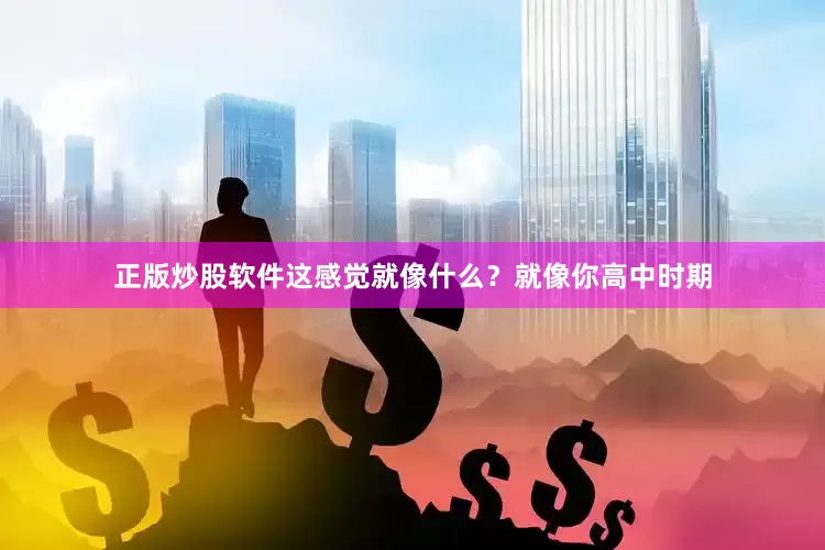正版炒股软件这感觉就像什么？就像你高中时期